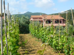 Agriturismo De Santis, Castiglioncello, Toscana