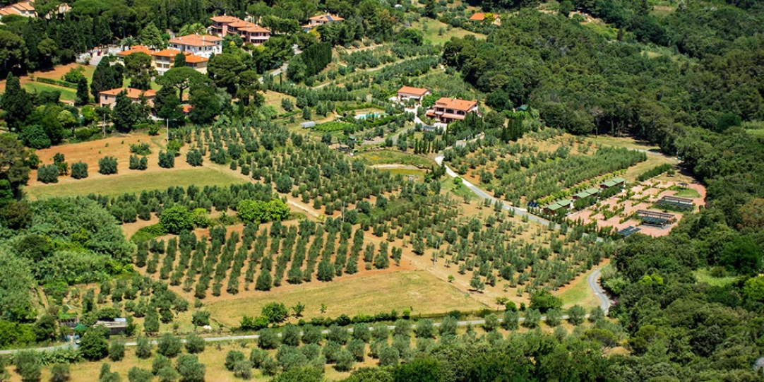 Agricampeggio De Santis, Castiglioncello, Toscana
